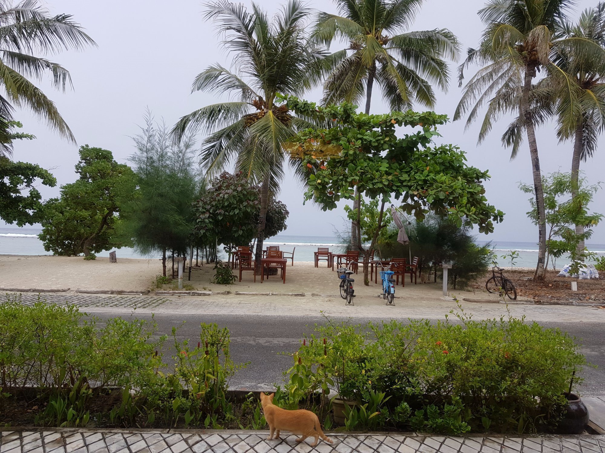 Апартаменты Hotel Lonuveli Guest House 3*